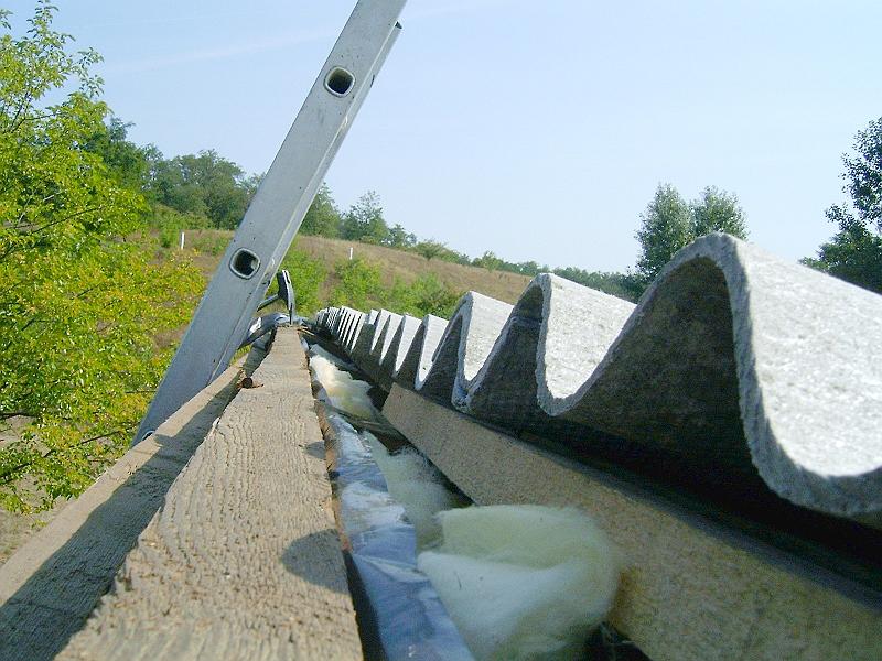 2009.08.22 017.jpg